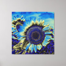 Tournesol bleu