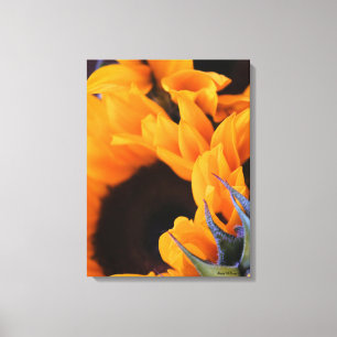 Toile Tournesol brillant