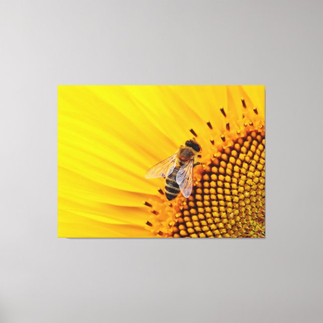 Toile Tournesol et abeille (Recto)