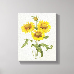 Toile Tournesol floral vintage de Redoute
