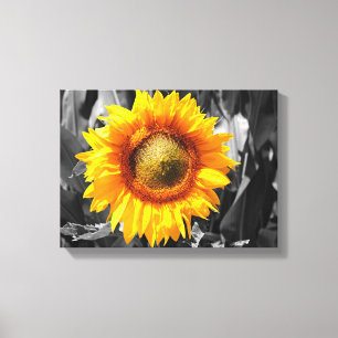 Toile Tournesol jaune
