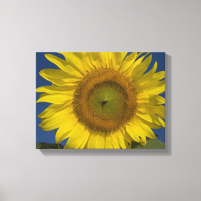Toile Tournesol jaune et ciel bleu (Recto)