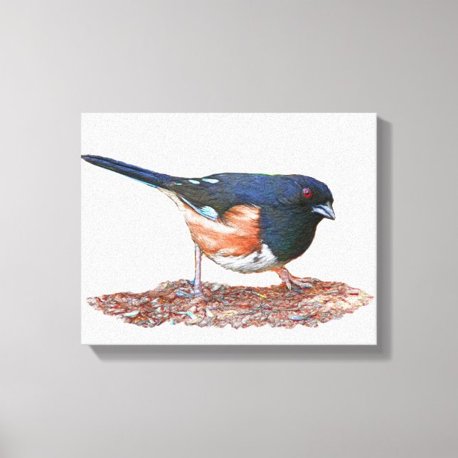 Toile Towhee (Recto)