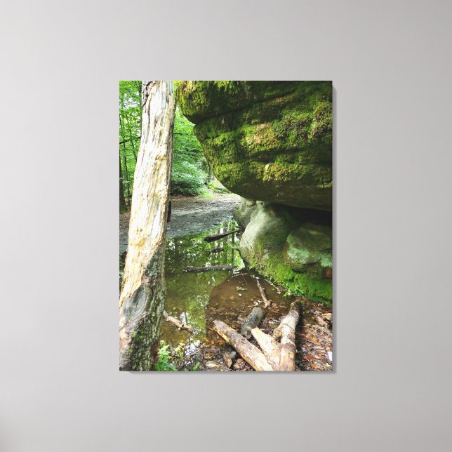 Toile Tranquil Forest Canvas Print | Real Landscape (Recto)