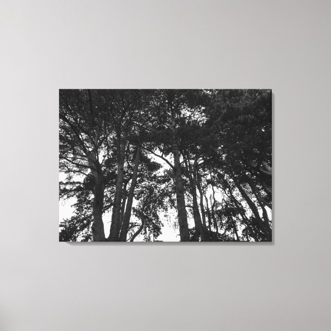 Toile Tree Canopy II, Bute Park, Cardiff (Recto)