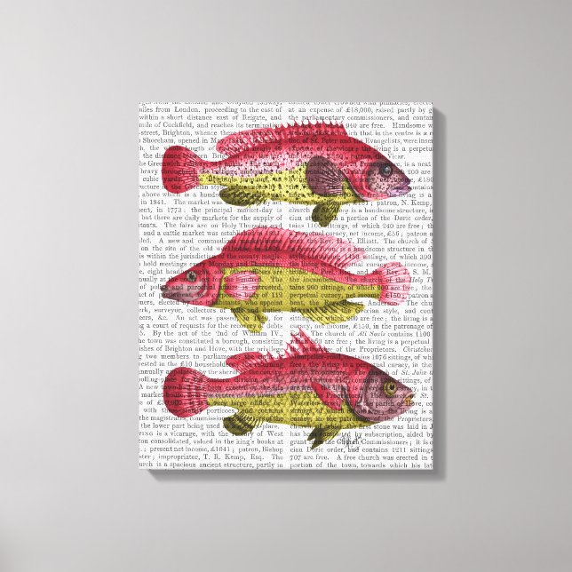 Toile Trio poisson Imaginaire rouge et jaune (Recto)