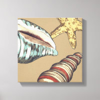 Trio Shell sur Khaki