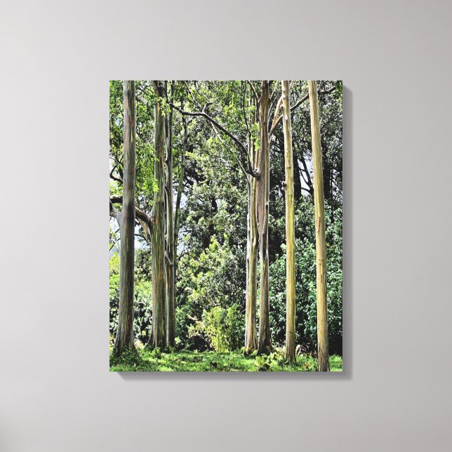 Toile triple Eucalyptus (Recto)