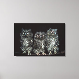 Toile trois chouettes
