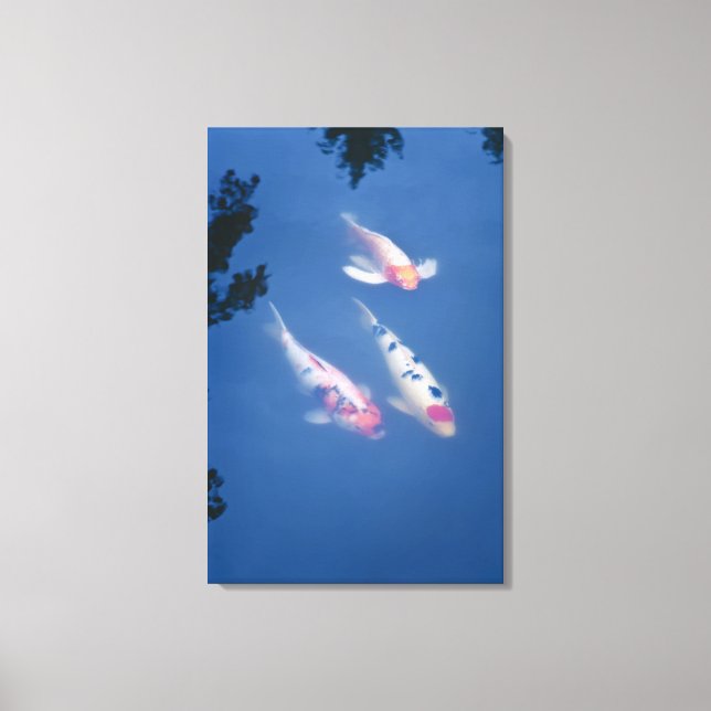 Toile Trois koi japonais dans l'étang (Recto)