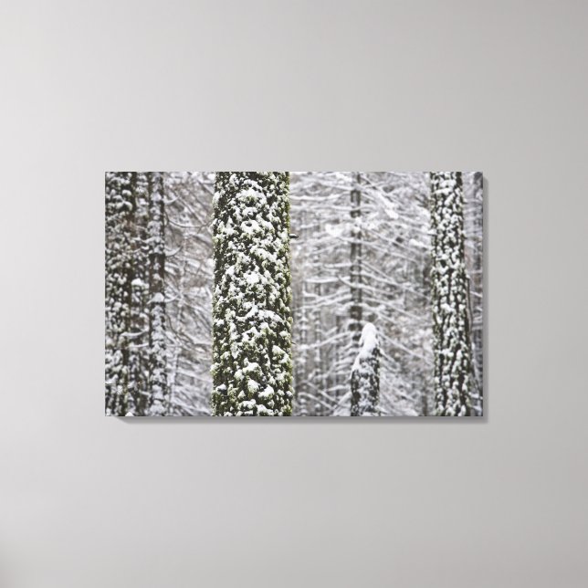 Toile Troncs d'arbres couverts de neige dans la vallée d (Recto)