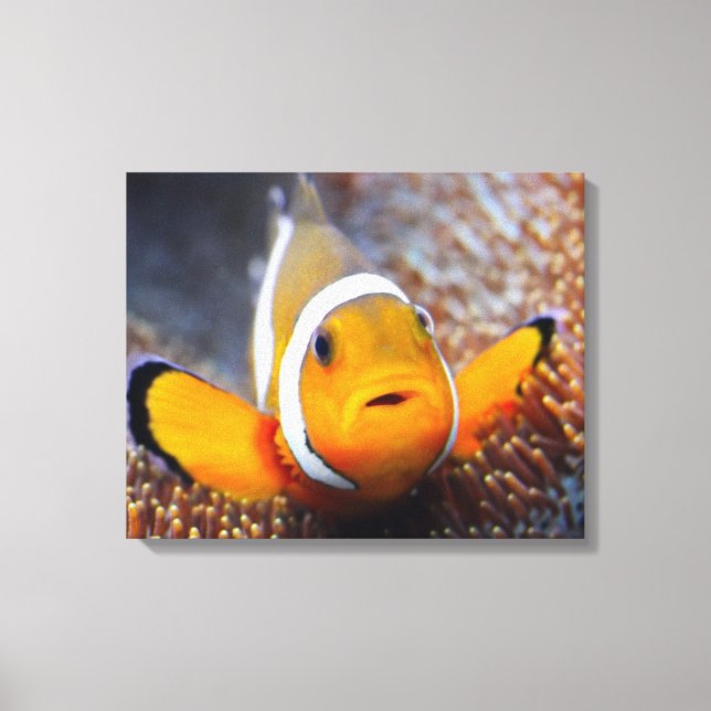 Toile Tropcal reef fish (Recto)