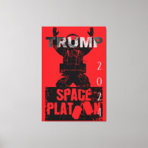 Trump 2024 Election Space Force