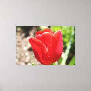 Toile Tulipe rouge brillante
