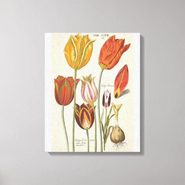 Toile Tulipes (Recto)
