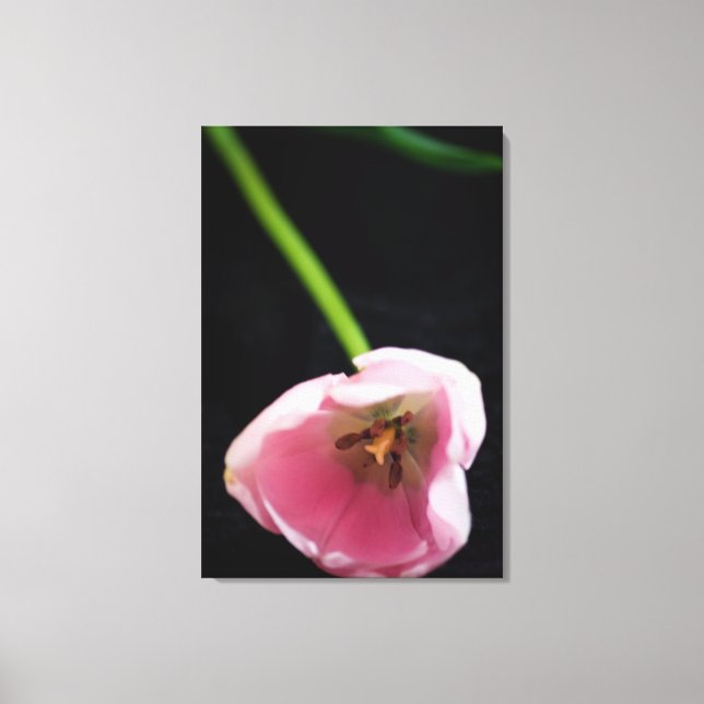 Toile Tulipes 3272 (Recto)