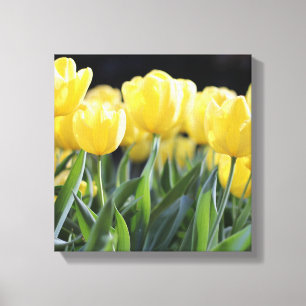 Toile Tulipes Art-Jaune