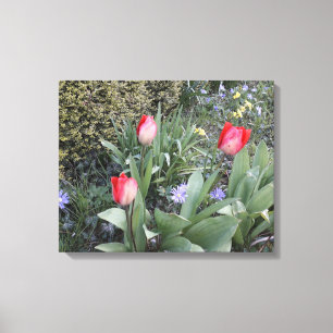 Toile Tulipes de jardin rouge