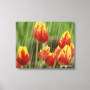 Toile Tulipes de ressort