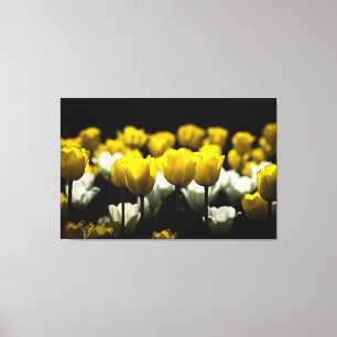 Toile Tulipes Jaune Et Blanc
