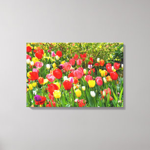 Toile Tulipes mixtes à fleurs