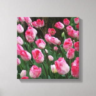 Toile Tulipes roses d'art mural
