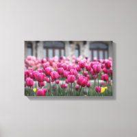 Tulipes roses - Montréal (toile)
