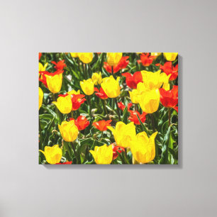 Toile Tulipes rouges et jaunes