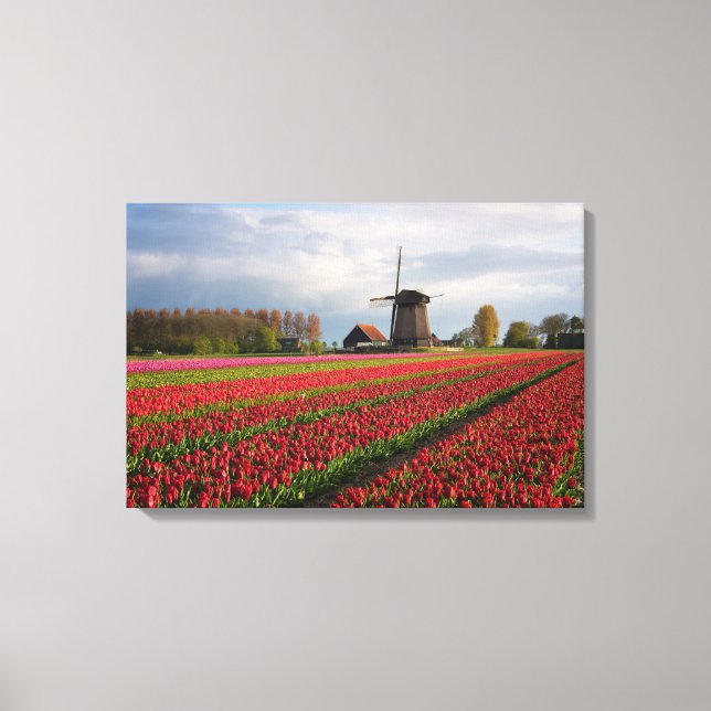 Toile Tulipes rouges et moulin à vent (Recto)