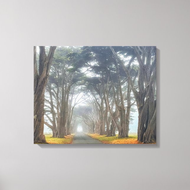 Toile Tunnel Cypress (Recto)