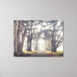 Toile Tunnel Cypress dans le brouillard
