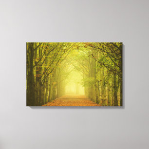 Toile Tunnel de lumière