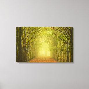 Toile Tunnel de lumière