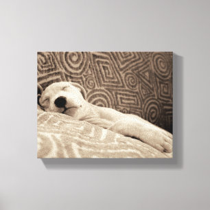Toile Un chien fatigué