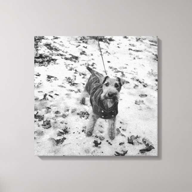 Toile Un chien portant une veste. (Recto)