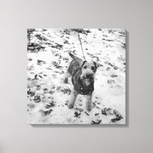 Toile Un chien portant une veste.