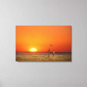 Toile Un couple de Giraffe entre au coucher du soleil, à