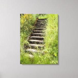 Toile Un escalier dans l'herbe