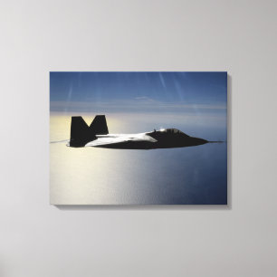 Toile Un F/A-22 Raptor pilote une mission de formation 2