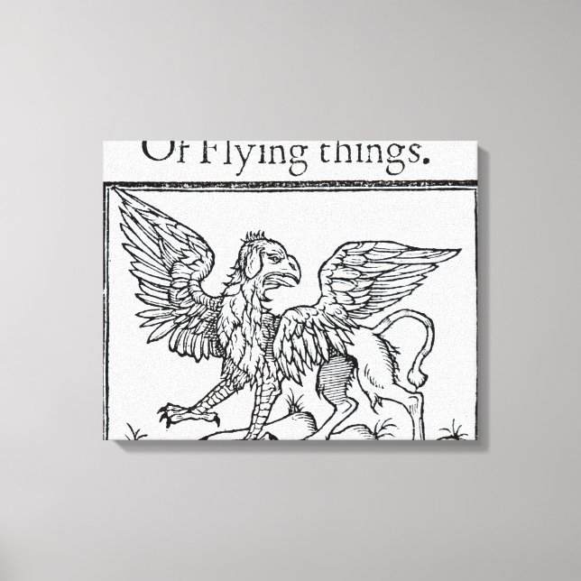Toile Un Griffin (Recto)