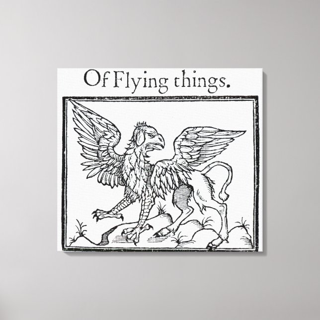 Toile Un Griffin (Recto)