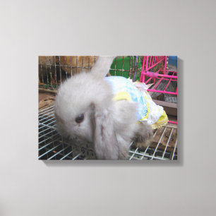 Toile Un lapin en robe