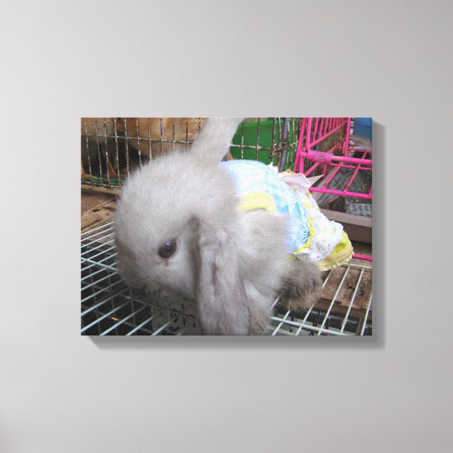 Toile Un lapin en robe (Recto)