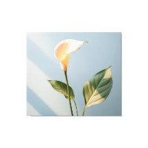 Un moment de paix Calla Lily Réalisme minimal