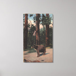 Toile Un ours Brown dans les bois