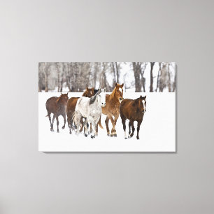 Toile Un paysage hivernal de course