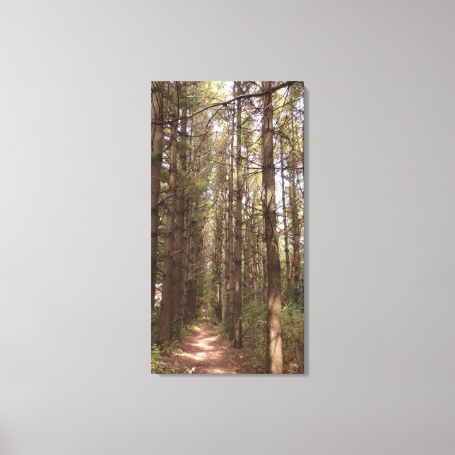 Toile Un sentier dans une forêt de pins (Recto)