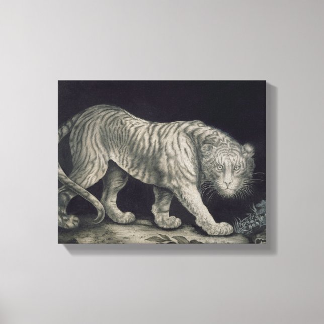 Toile Un tigre à ressort (crayon sur papier) (Recto)