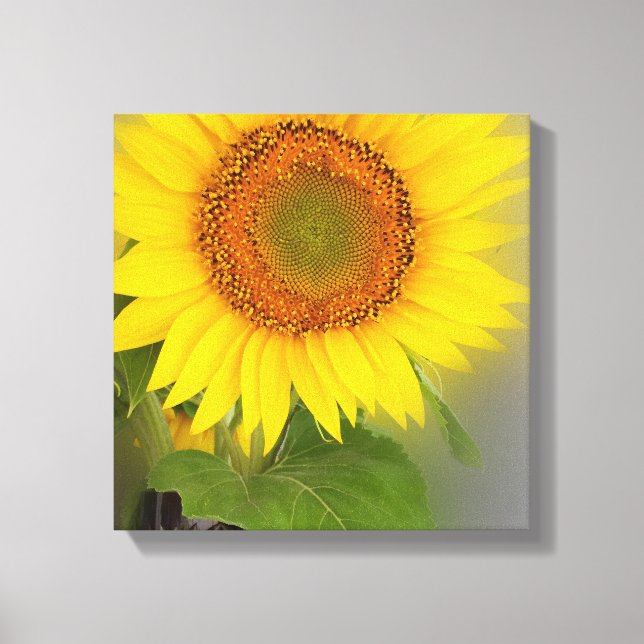 Toile un tournesol brillant (Recto)