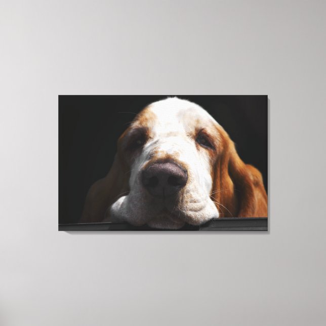 Toile Une Basset Hound se reposant la tête (Recto)